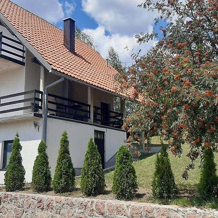 Kuca Sa Pogledom Na Tornik Zlatibor Exterior foto